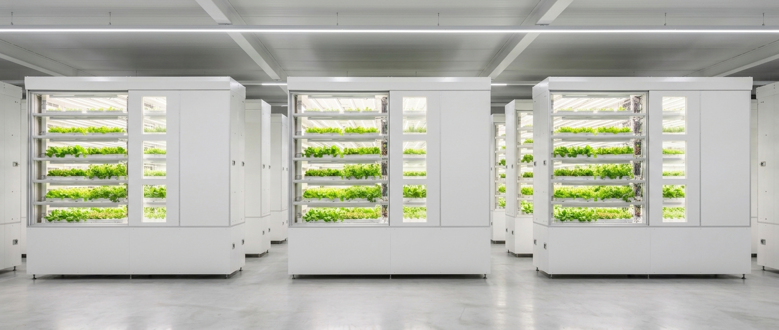 Multiple G-Cube chambers in a factory — scale-out architecture
