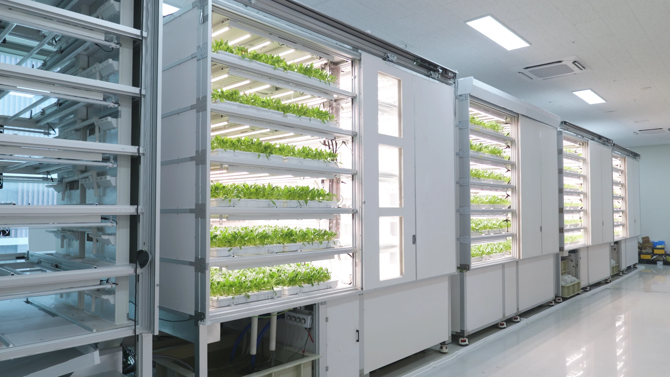 Farm360 G-Cube rows